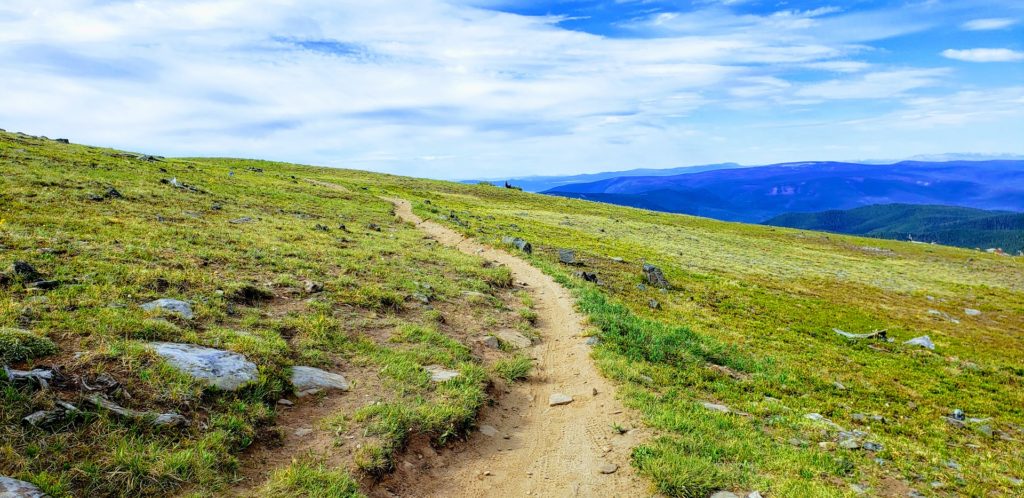 Singletrack trail