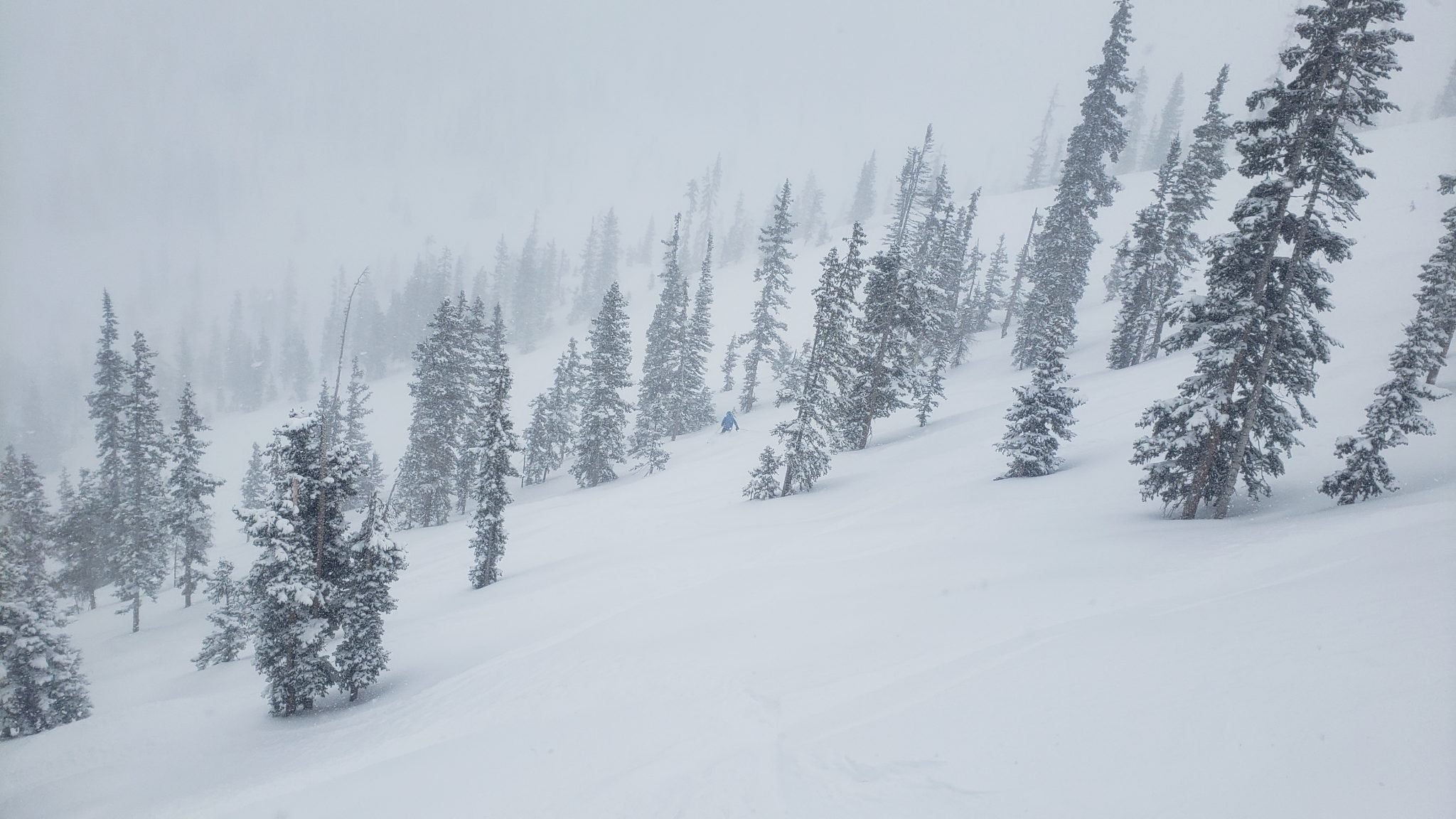 Storm Skiing - Monarch Mountain